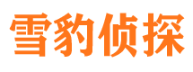 加查市婚外情调查